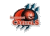 Capitals Groningen