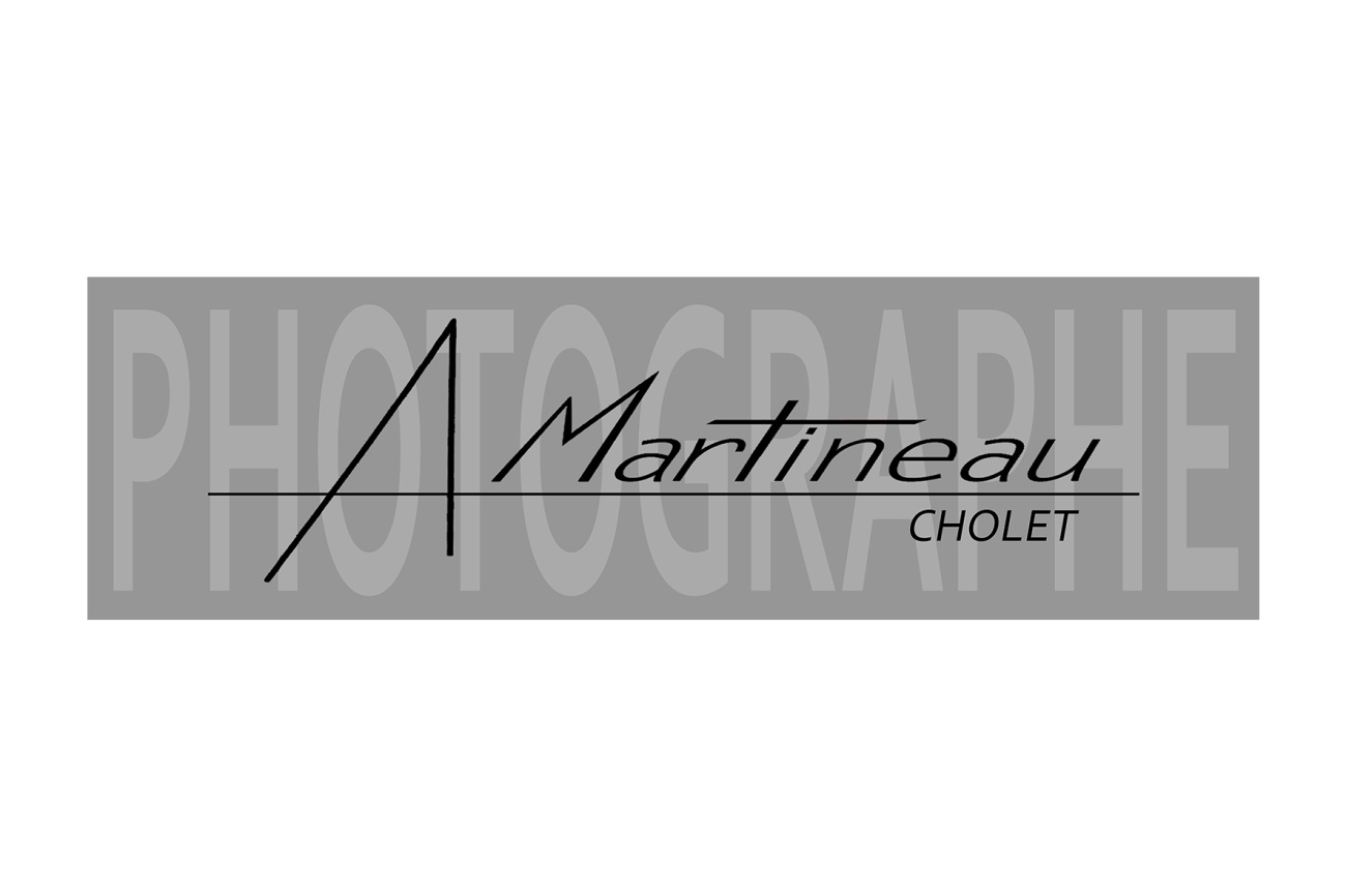 photo site martineau