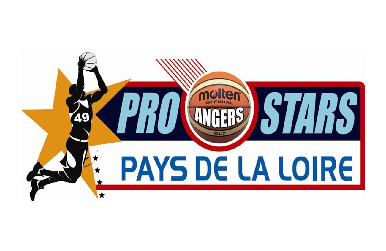 photo site logo pro stars