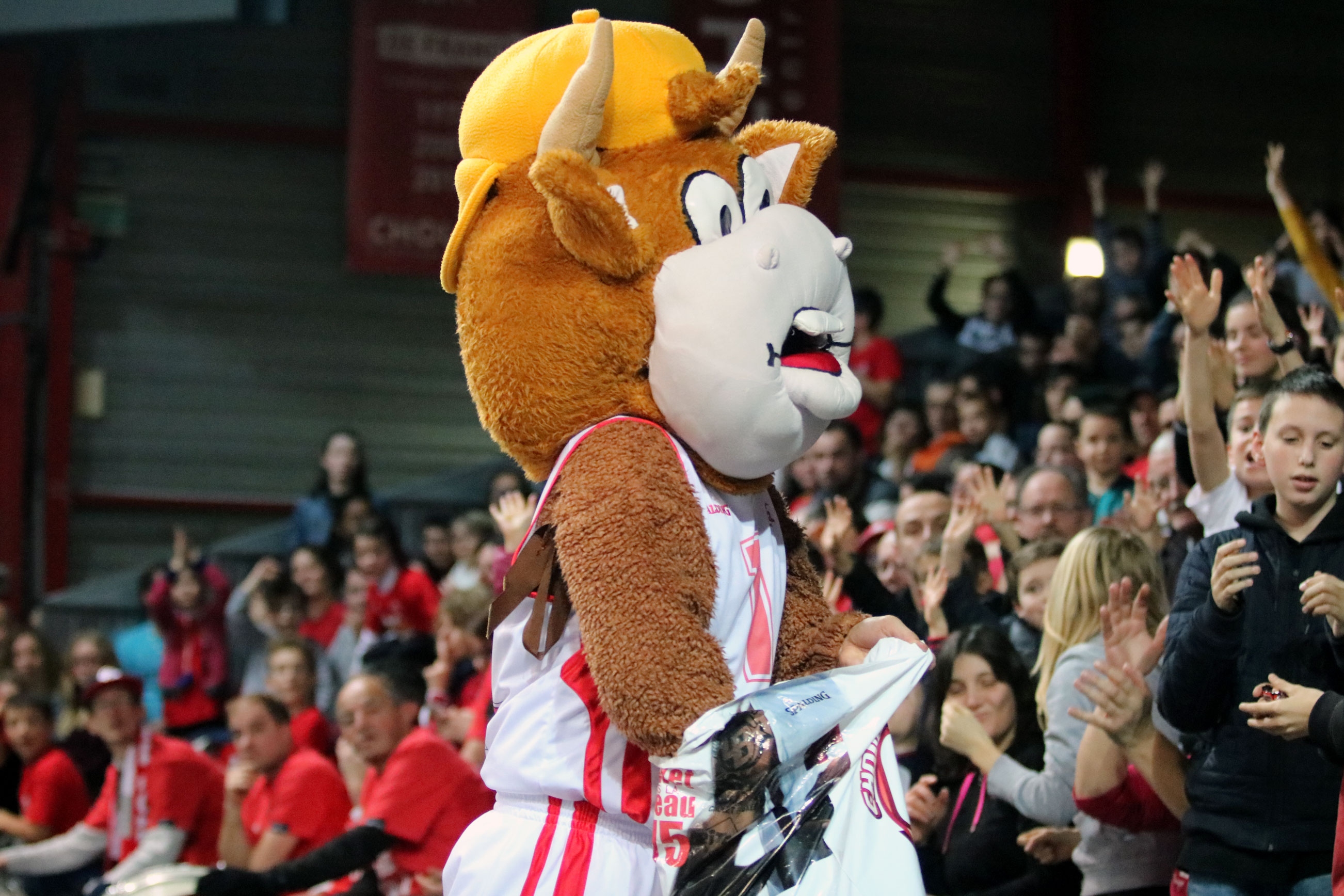 Cholet Basket - Boulazac (12/01/19)