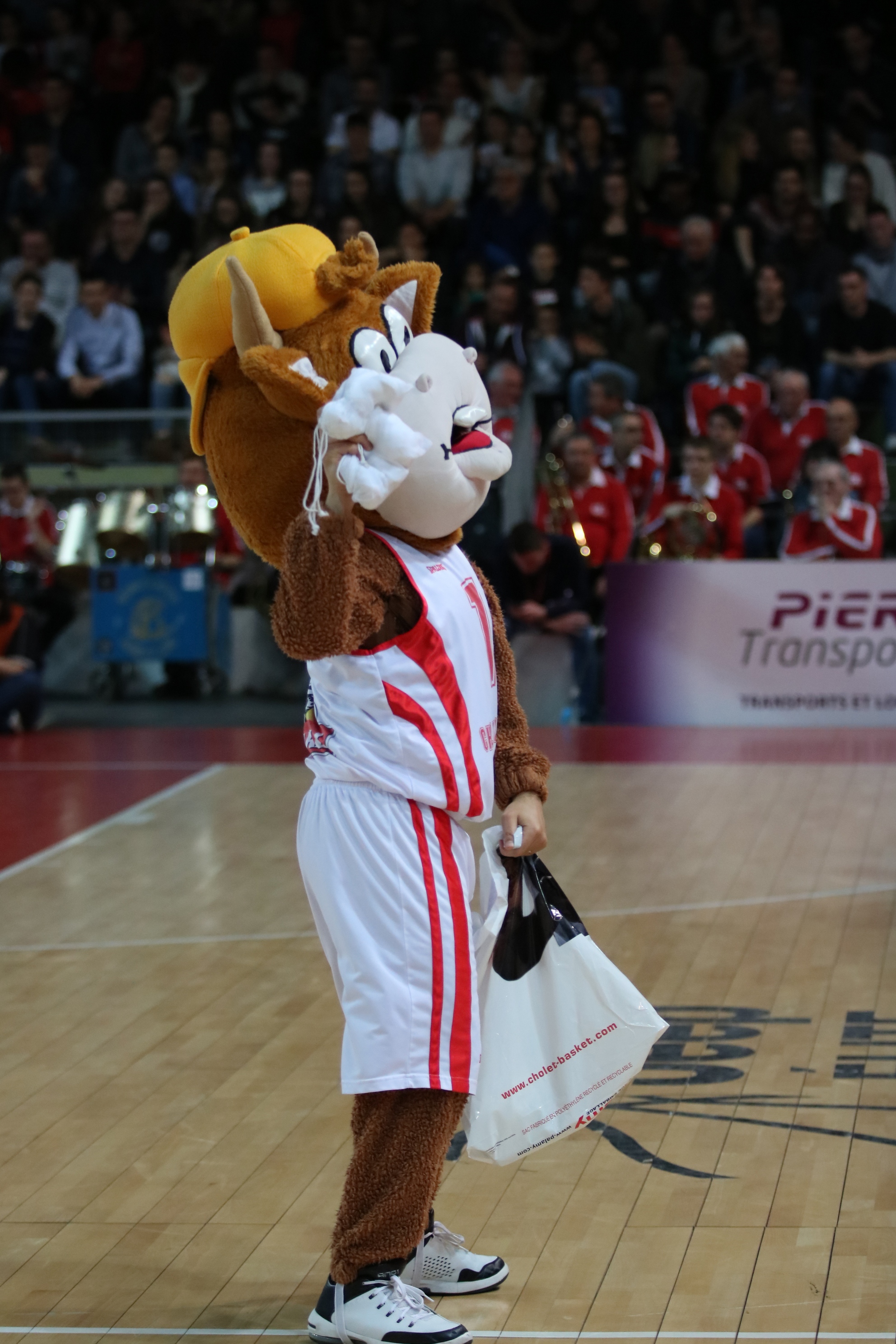 Cholet Basket - Gravelines Dunkerque (23-03-19)